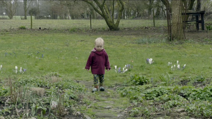BOLLENGIF IN BABYLUIER